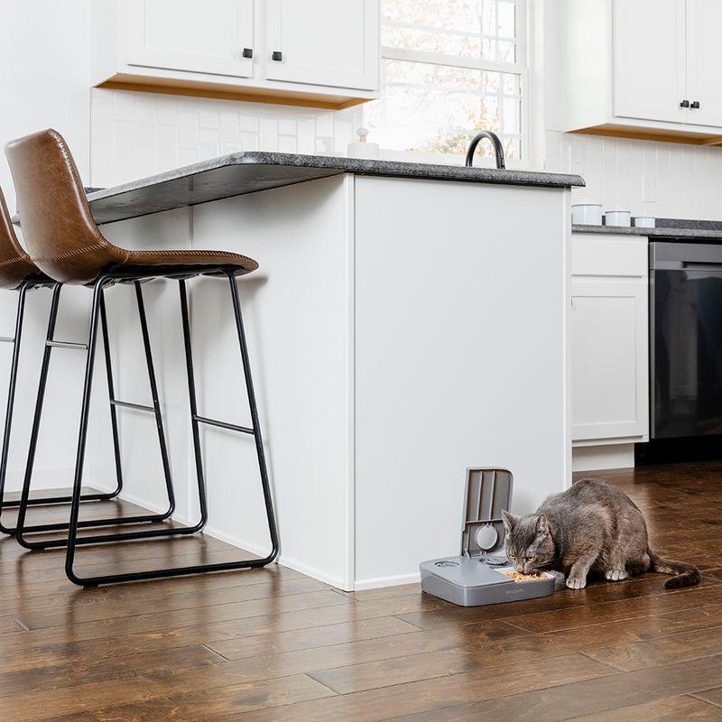 Easy-set pet food dispenser