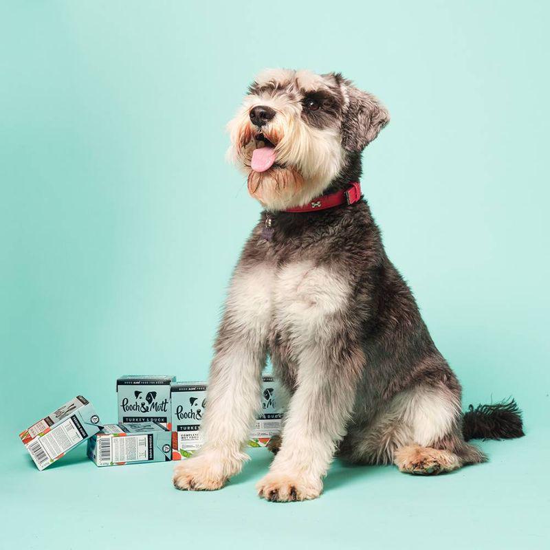 natural dog food pooch mutt