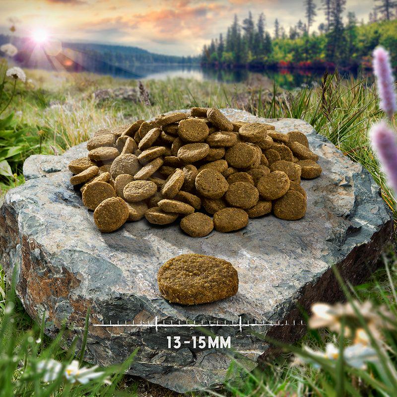 Purizon grain-free meat formula