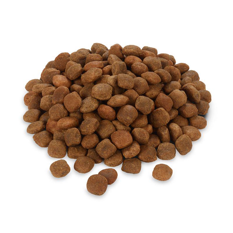 Rocco lamb hypoallergenic diet