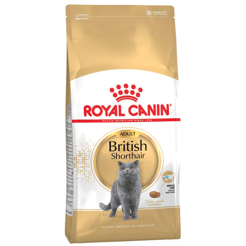 Royal Canin British Shorthair