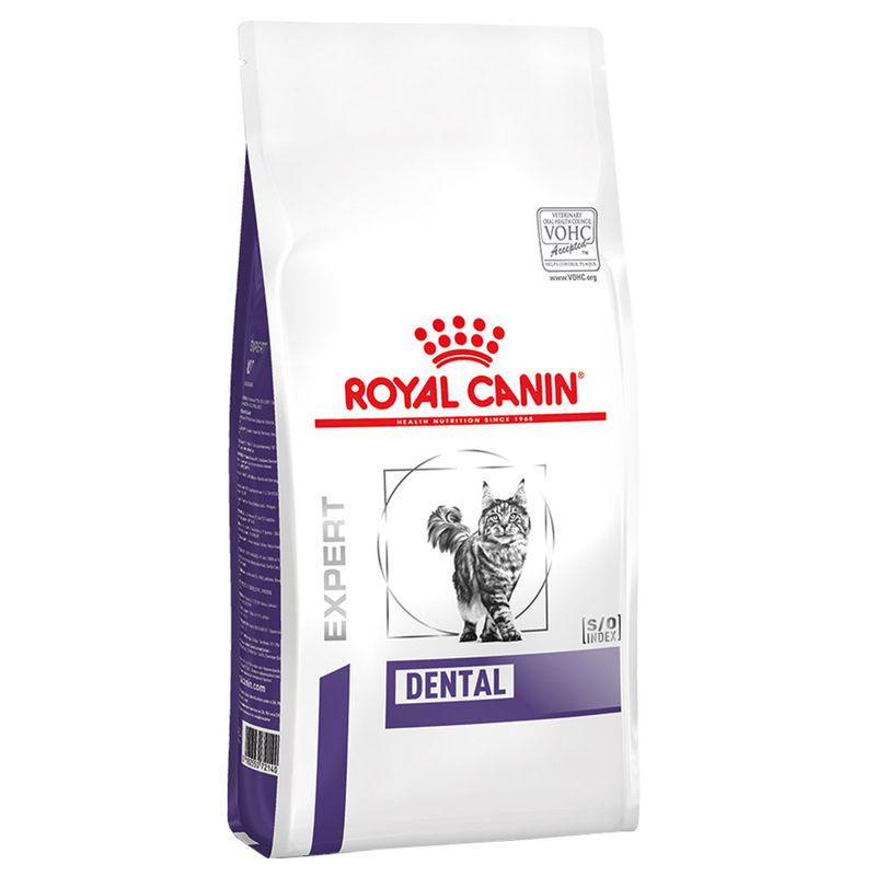 A bag of Royal Canin Expert Dental Cat dry food for cats, with a picture of a cat on the front.