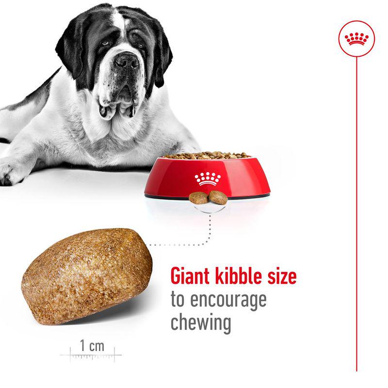 Food for giant dogs