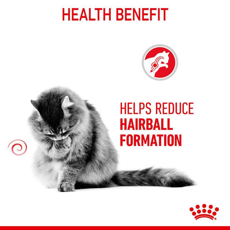 Royal Canin dry food for hairball relief