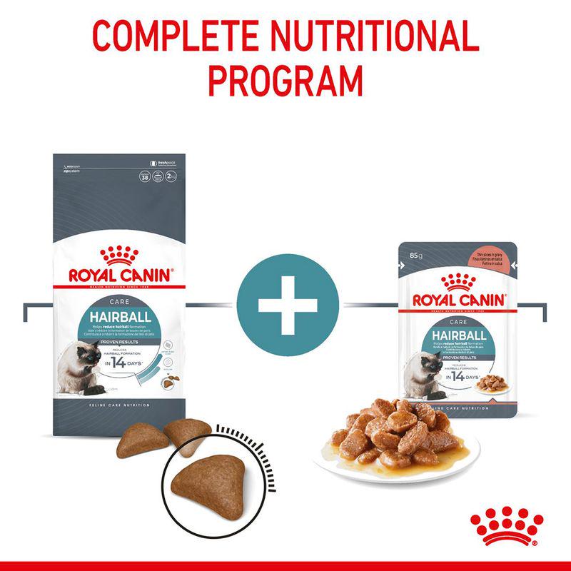 Royal Canin kibble for hairball care
