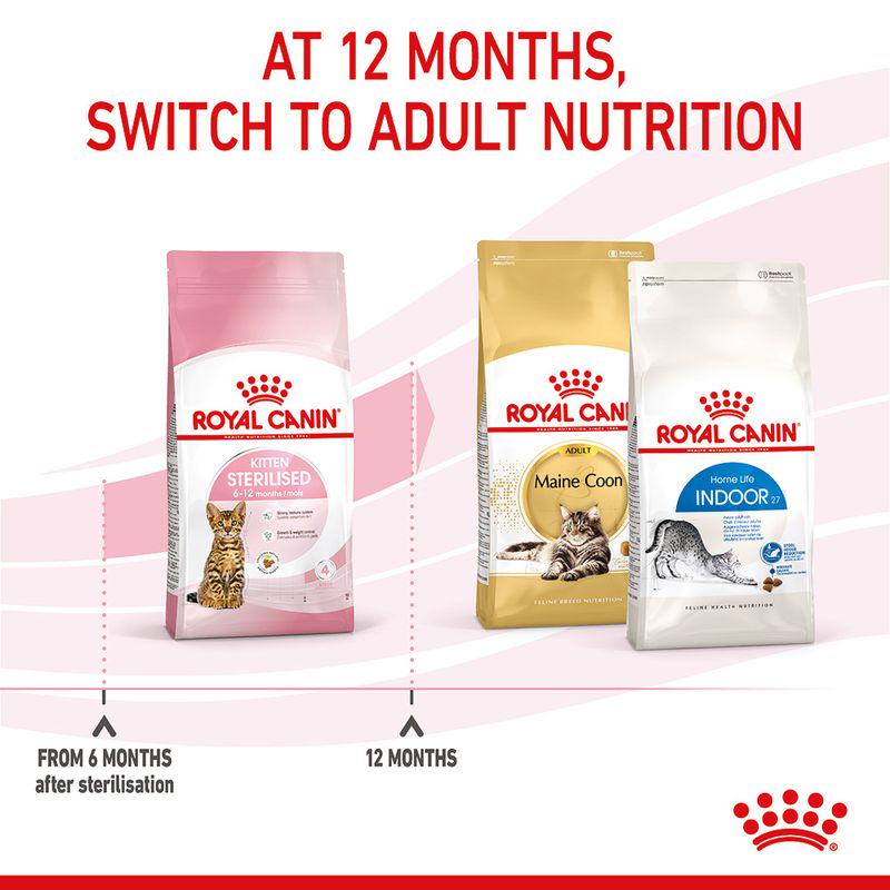 Kitten food weight control