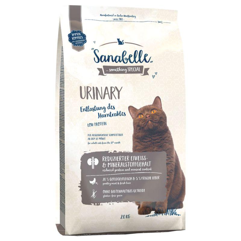 Cat food urinary health