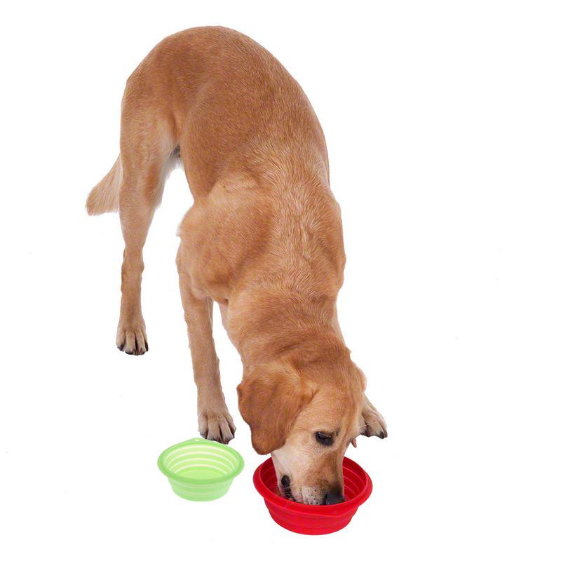 Foldable pet bowl