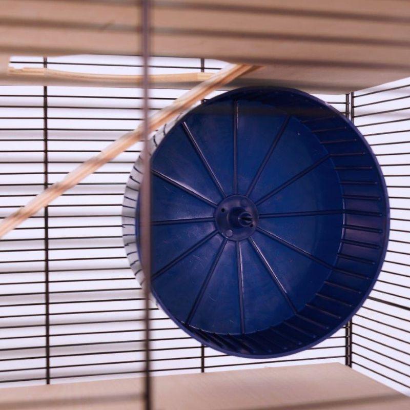 Spacious cage for rats