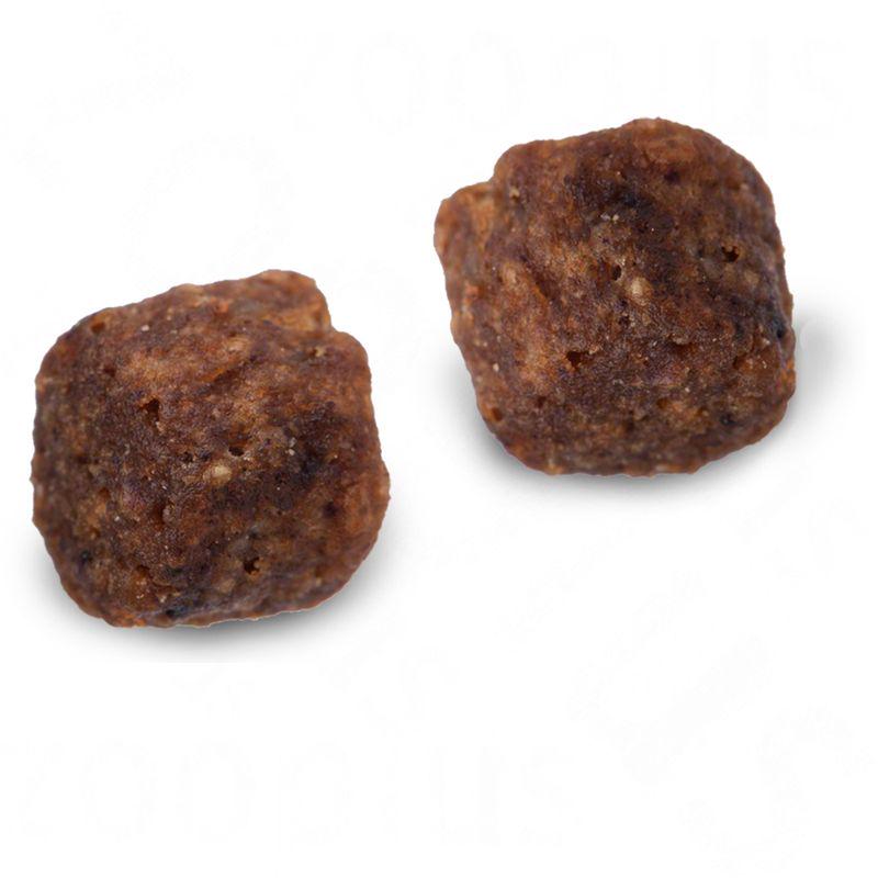 Tasty food for kittens