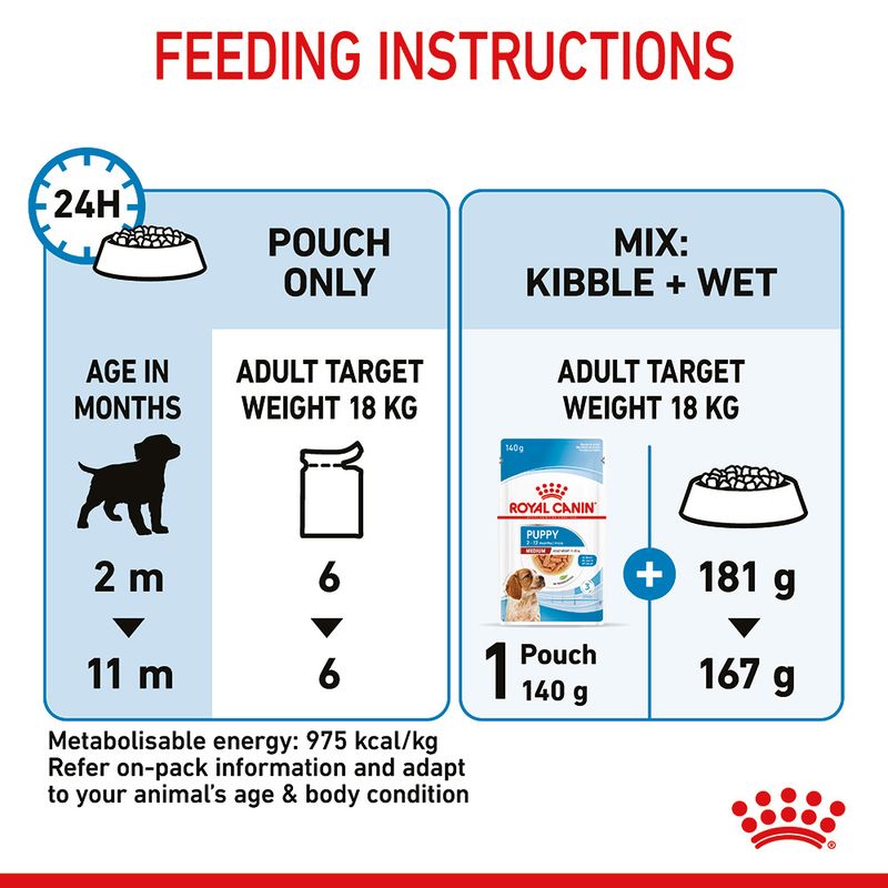 Feeding instructions for a dog food product with illustrations and text.