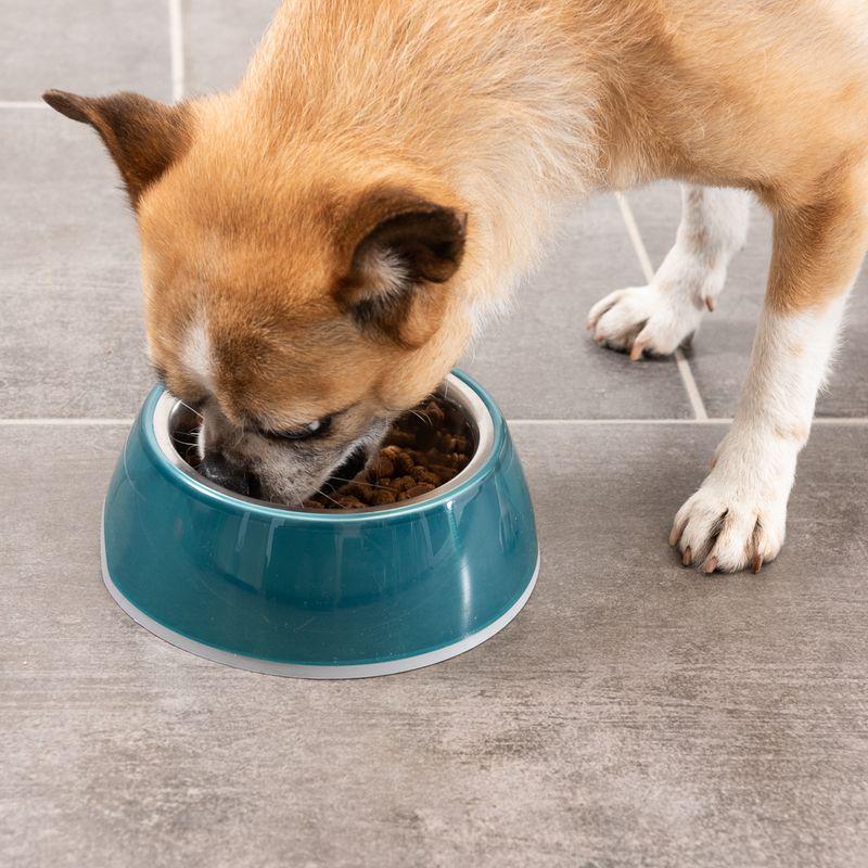 Spill-resistant feeding solution