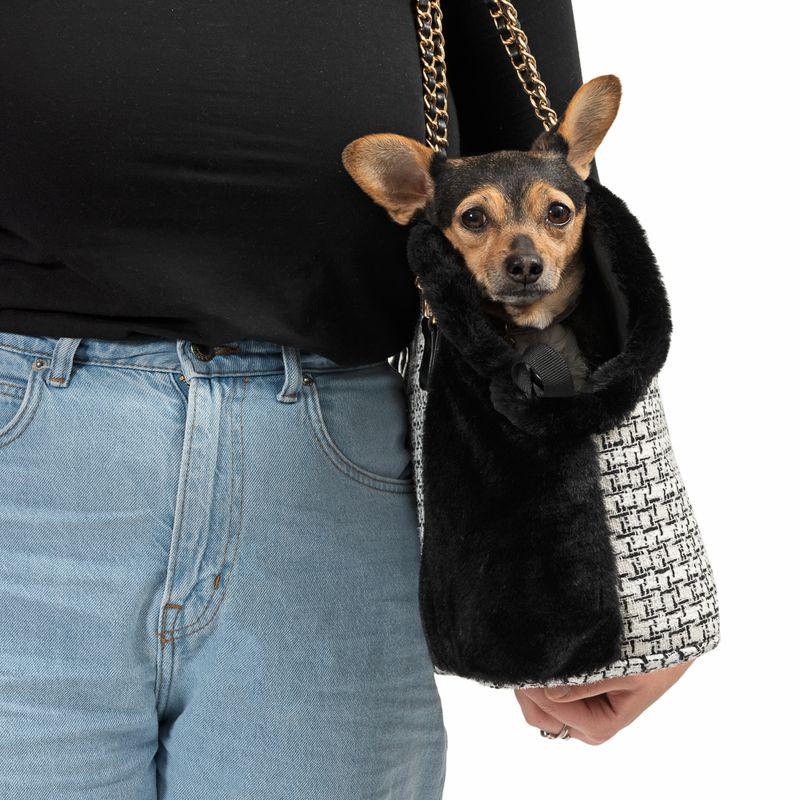 Soft-sided pet tote