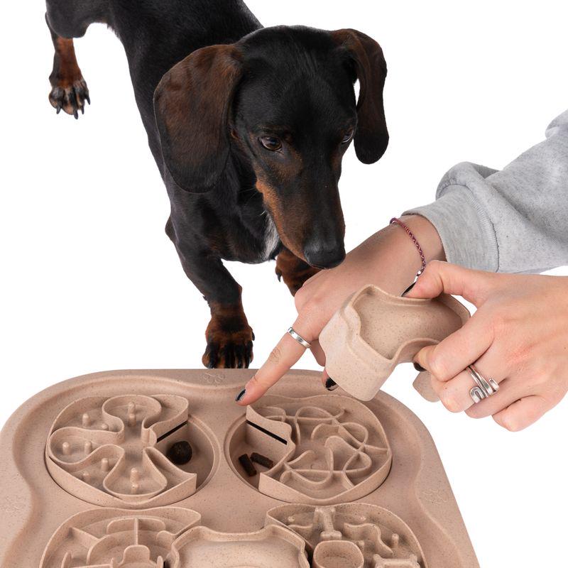 Dog mental stimulation