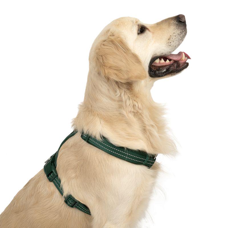 Soft padded harness