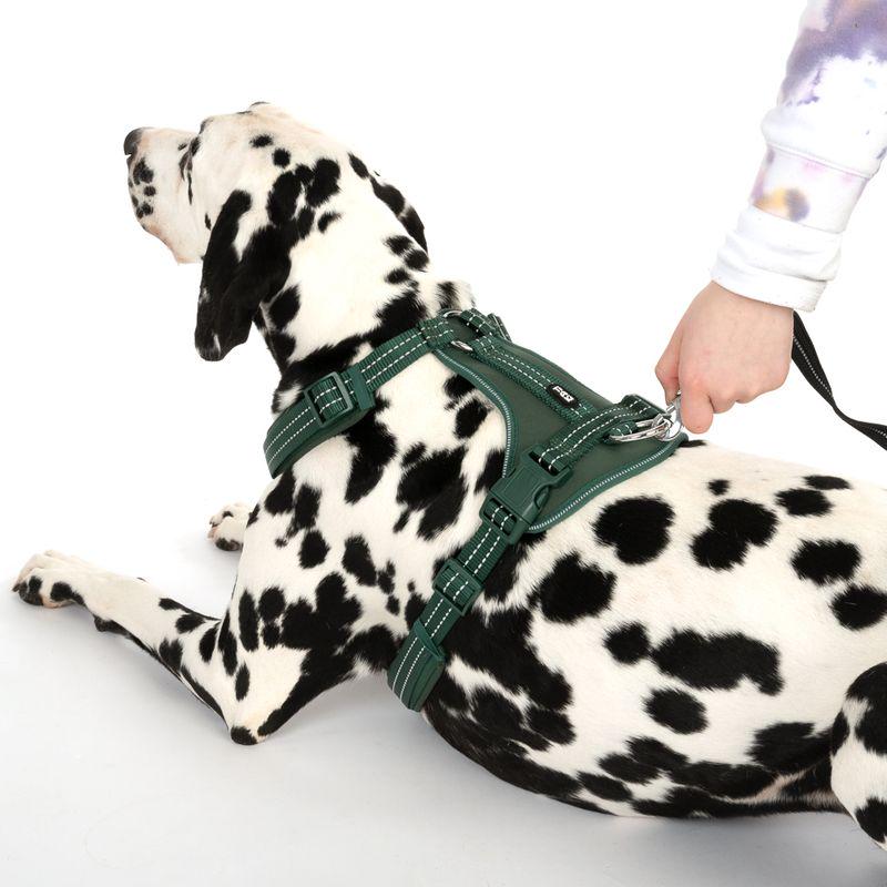 Nylon dog harness