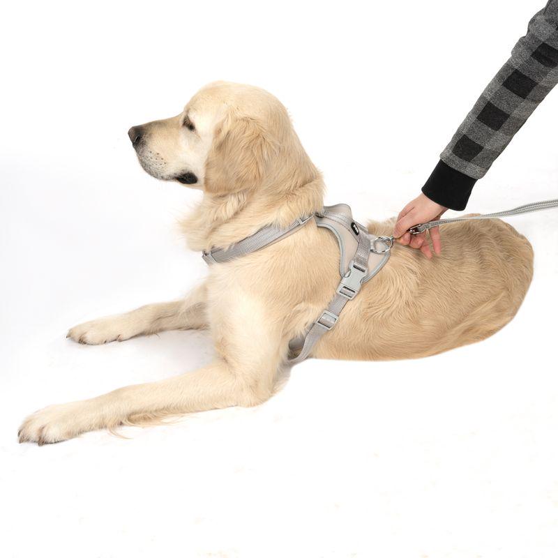 Dog waste cleanup bags