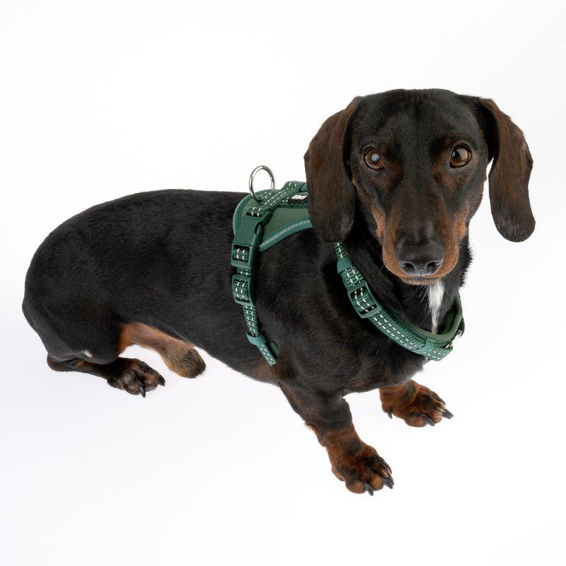 Stylish green harness TIAKI