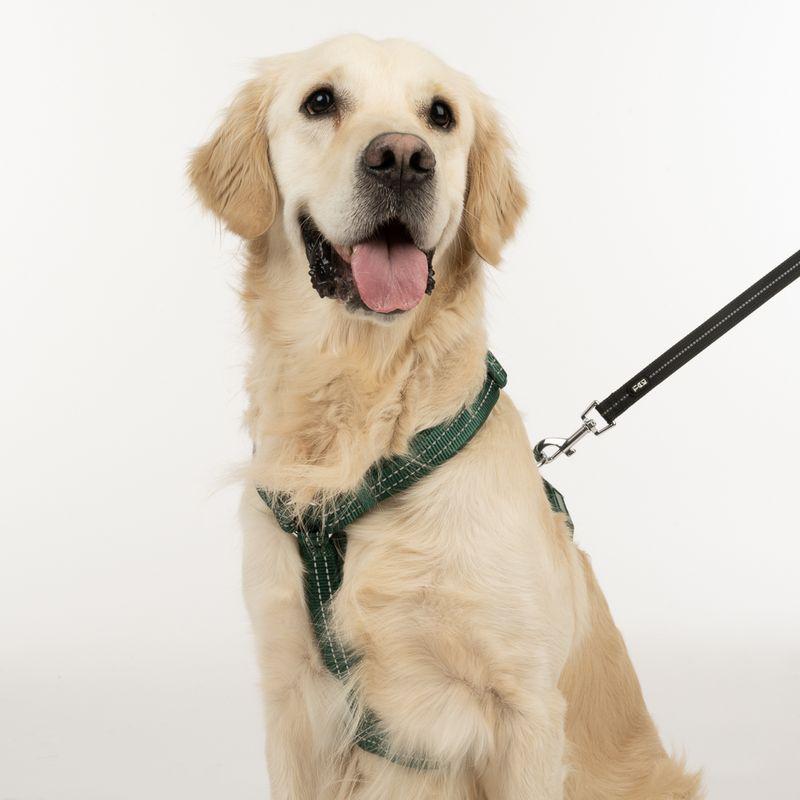 Comfortable dog harness