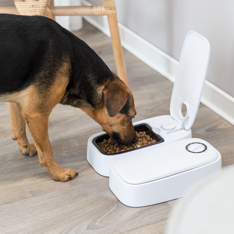 Pet food timer dispenser