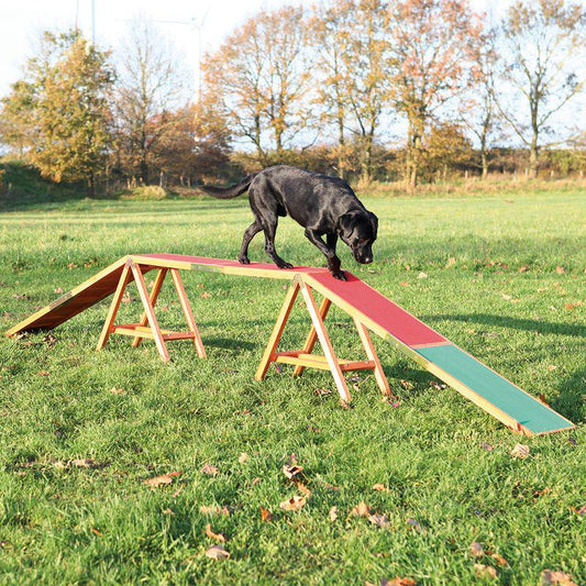 Dog balance training bridge