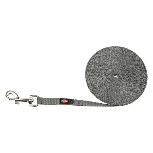 Graphite dog training lead