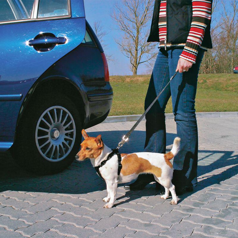 Tour Car Safety Belt for Dogs