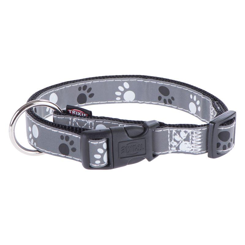 Silver Trixie collar