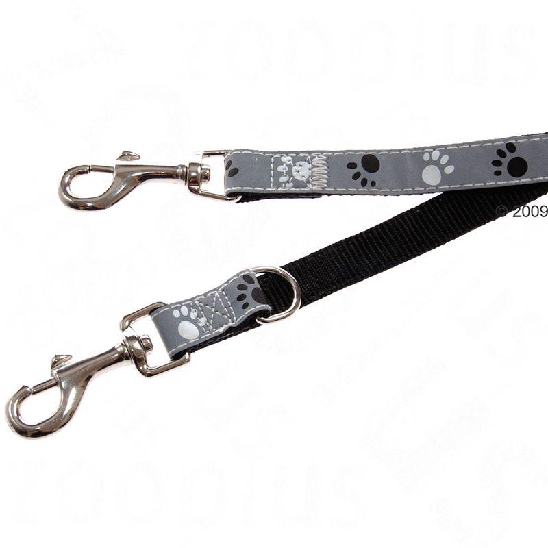 Safety paws leash