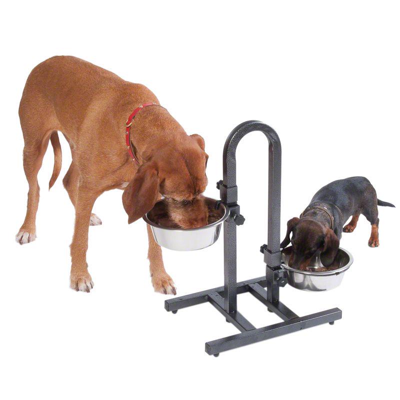 Elevated dog bowl set
