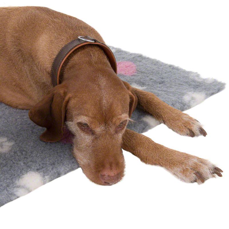 Comfy fleece pet rug