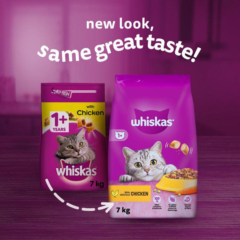 Tasty chicken for cats