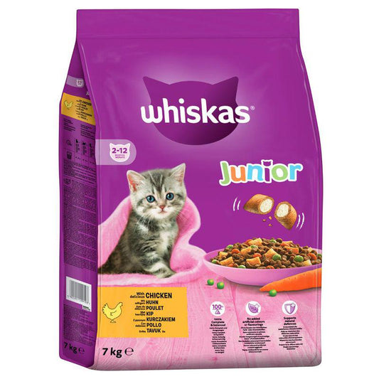 Kitten dry chicken food