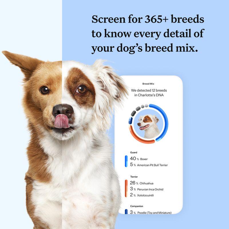 Dog genetics test kit
