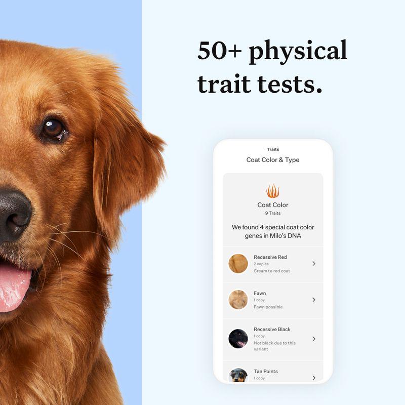Dog Ancestry Test