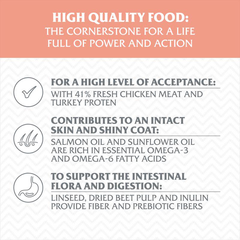 Wolf of Wilderness Adult Great Desert High Quality Food