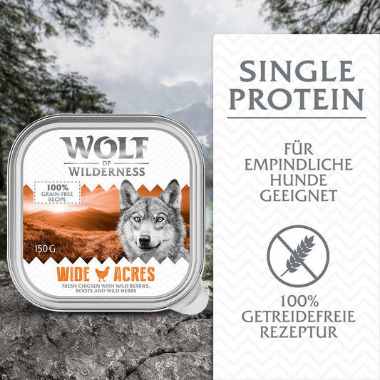Wolf of Wilderness 6-pack