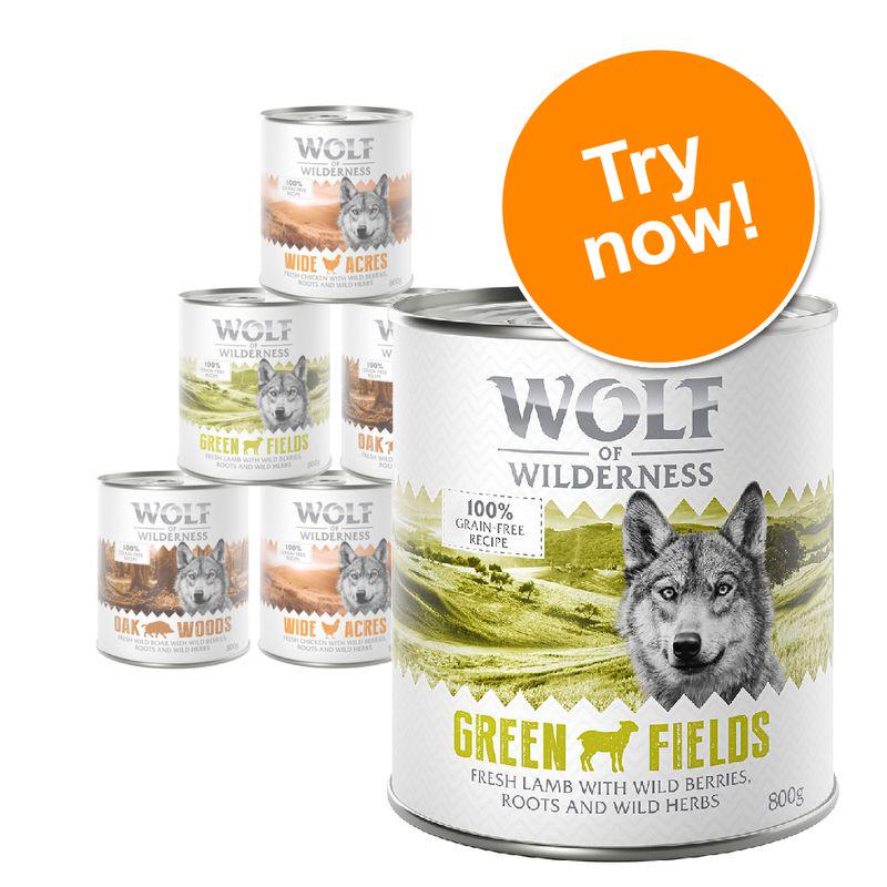 Mixed pack adult dog food