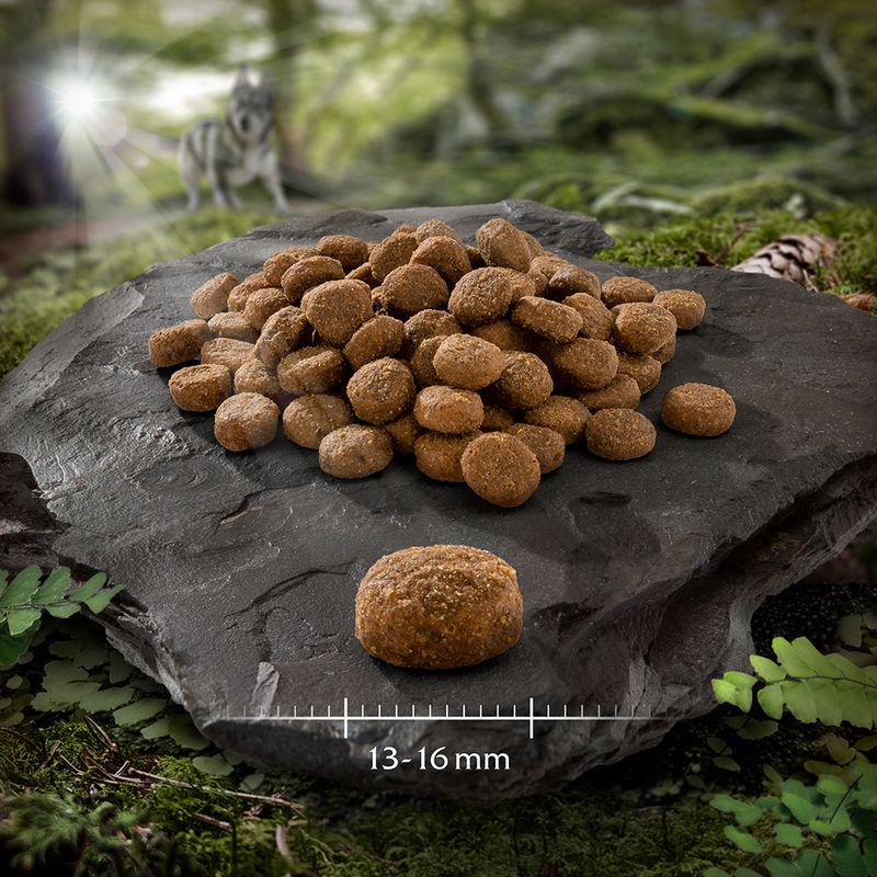 Game meat recipe for dogs