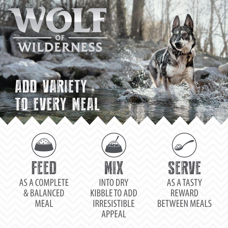 adult wolf wilderness pack