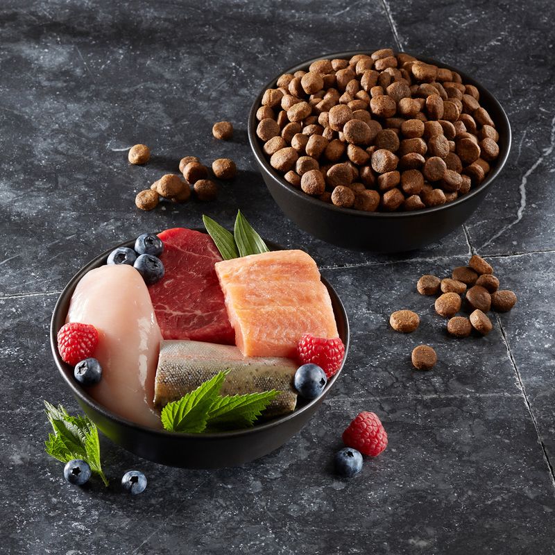 Wolf of Wilderness Adult Great Desert - Turkey Grain free