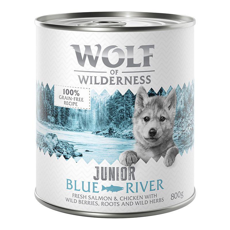 Wolf of Wilderness puppy pack