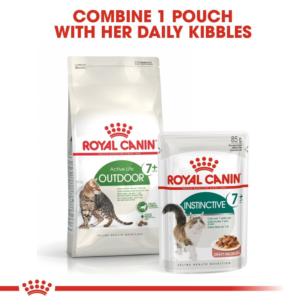 Two Royal Canin cat food packages on a white background with text.