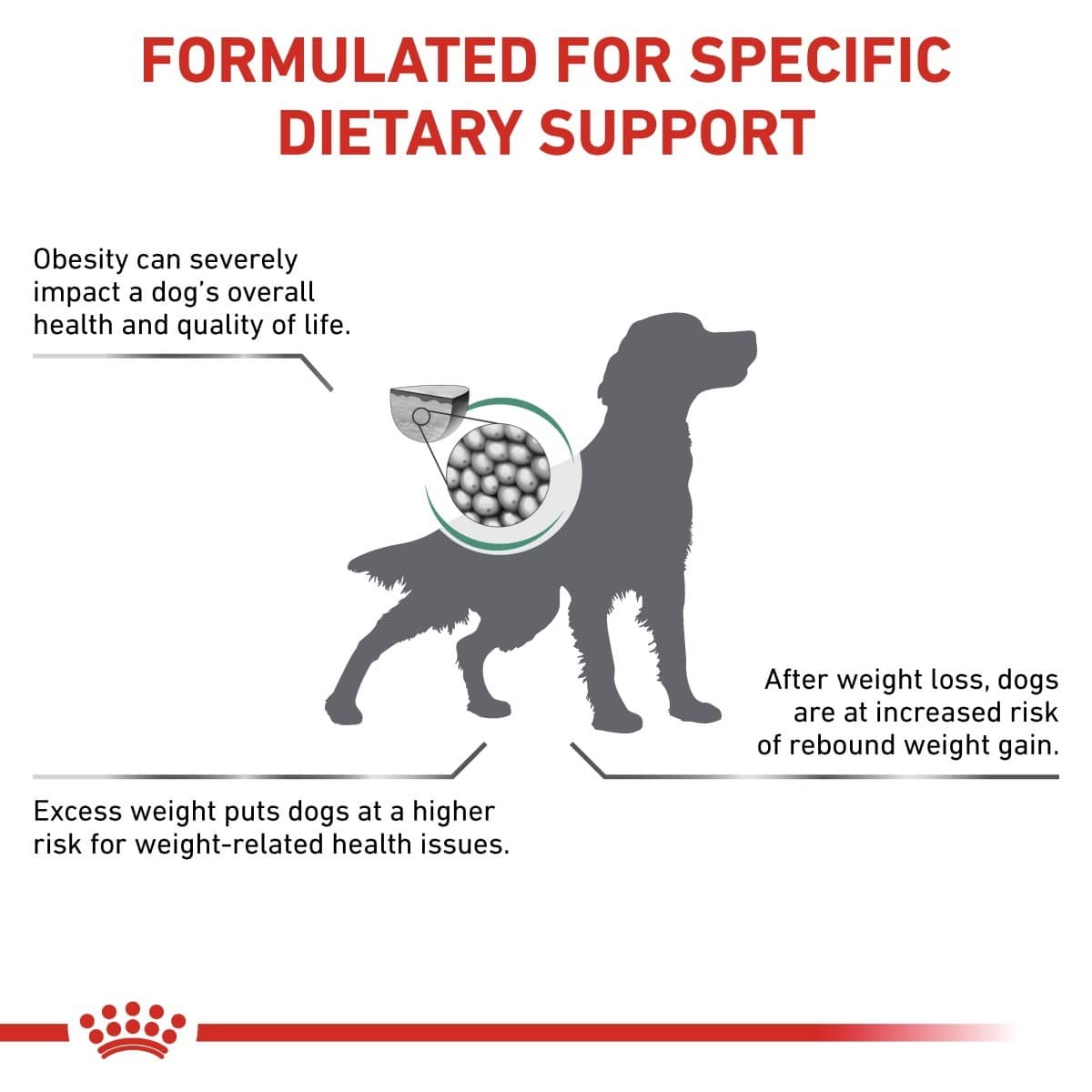 Dog food packaging with text about dietary support for dogs, including obesity and weight management.
