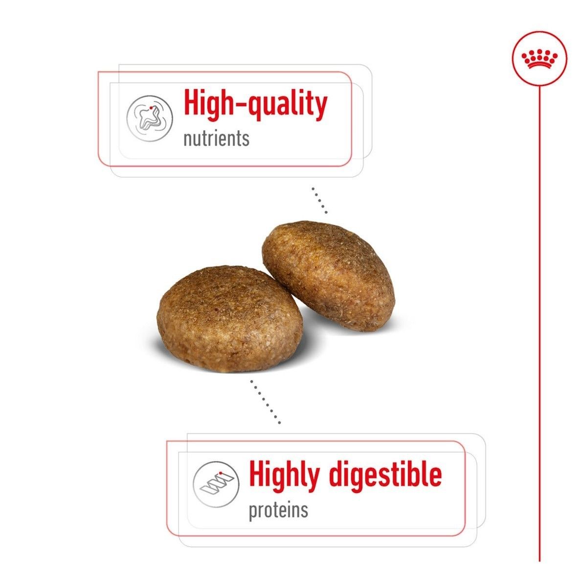 Two dog food pellets with text highlighting high-quality nutrients and highly digestible proteins on a white background.