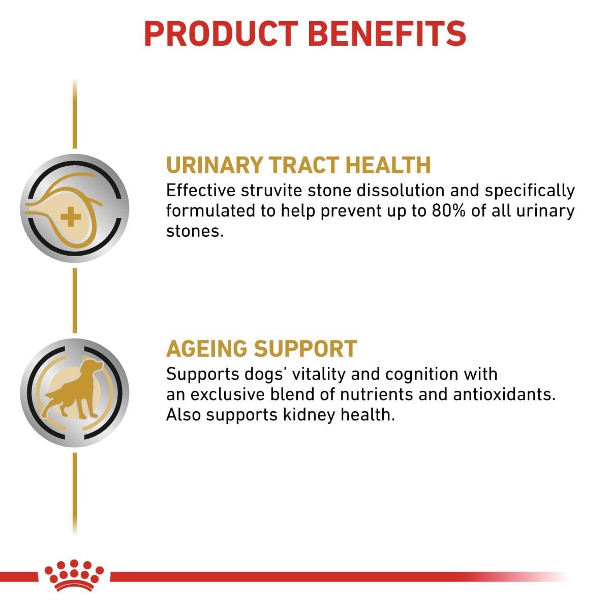 Product benefits for a pet health supplement, including urinary tract health and ageing support, with icons and text on a white background.