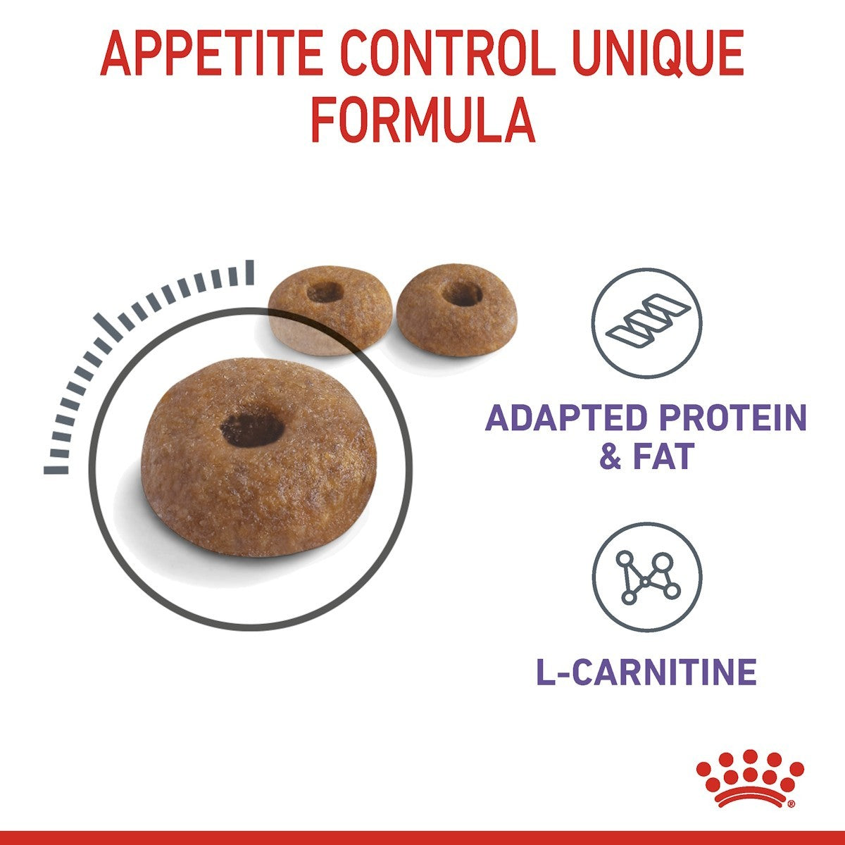 Dog treats with 'Appetite Control Unique Formula' text and Royal Canin logo on a white background.
