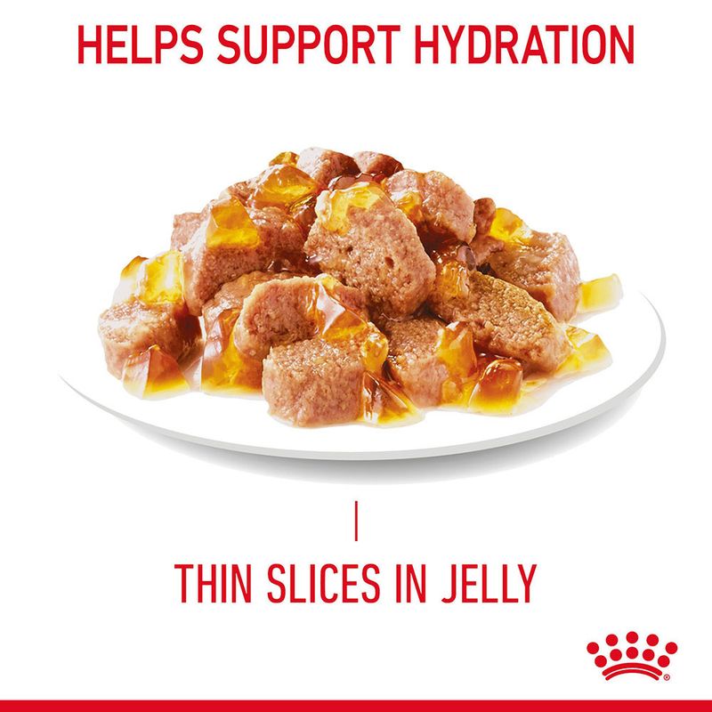 Dog food with thin slices in jelly on a white plate, labeled 'Helps Support Hydration' and 'Thin Slices in Jelly'.