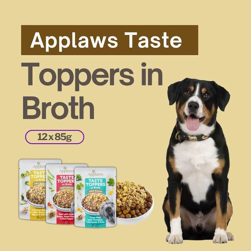 Dog sitting next to 'Applaws Taste Toppers in Broth' packages on a beige background