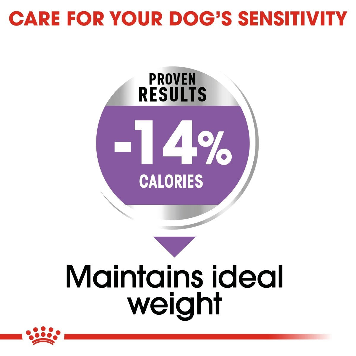 Royal Canin Mini Sterilised Care Dry Dog Food 3kg